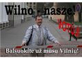 VotujSMAL.JPG