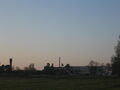 Ziedas4.jpg