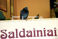 Saldainiai.jpg