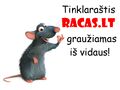 Versijos 17:41, 19 kovo 2010 miniatiūra