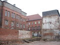 Ziedas9.jpg