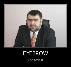 Eyebrow-I-do-have-it.jpg