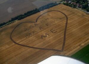 Love-heart-crop-circle.jpg