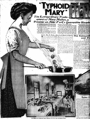Typhoid-Mary-Mellon-New-York-American-June-20-1909.png