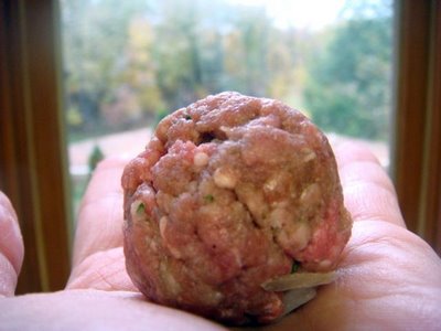 Vaizdas:Asian meatball hand.jpg