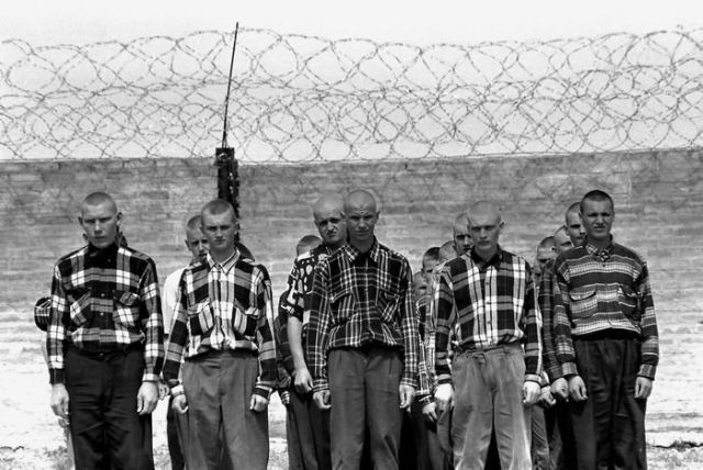 Vaizdas:Jauni bandiugos.jpg