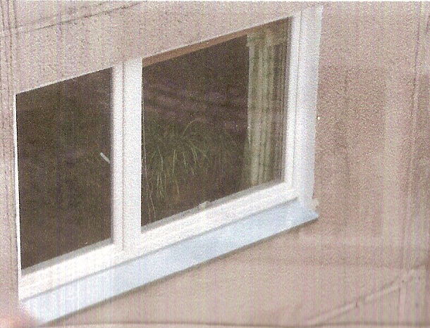 Vaizdas:Ziedas langas.jpg