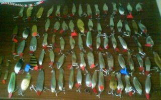 Blizges sumazintos.jpg