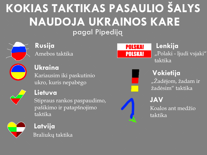 Vaizdas:Ka Daro Salys Ukrainos Kare.png