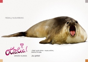 5891 119640757113 119639197113 2272006 1976136 n.jpg