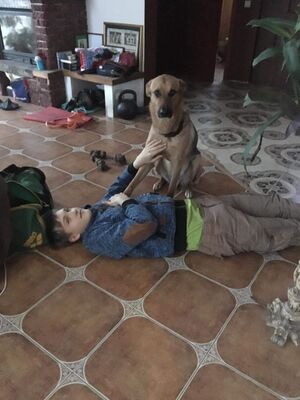 86801604 2561364424143514 6955513486478671872 n.jpg