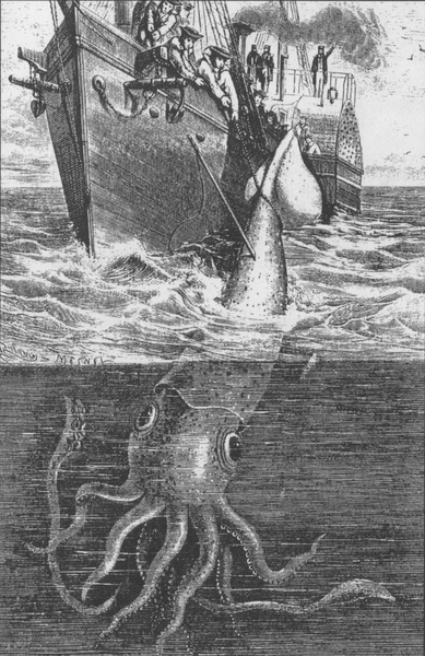Vaizdas:Alecton giant squid 1861.png