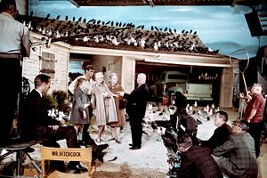 Alfred hitchcock the birds pauksciai filmas.jpg