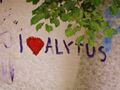 Alytus-love3.jpg