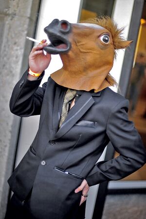 Arklys kauke lavoninis kostiumas.jpg