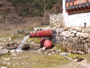 Butanas pimpalas saltinis.jpg
