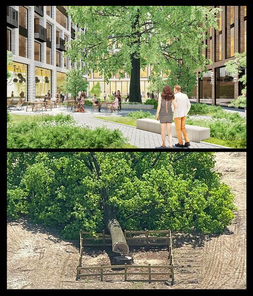 Vaizdas:Ceikiniu vizualizacija.jpg