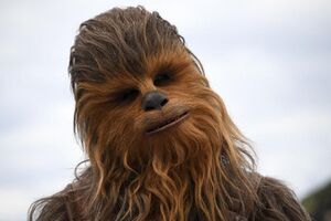 Chewbacca-2-.jpg