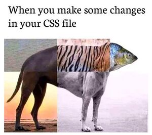 Css html isvaizda keitimas cascading style sheet stiliai.jpg
