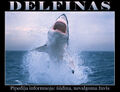 Delfinas.jpg