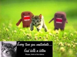Domo-kun-masturbate-god-kills-kitten.jpg