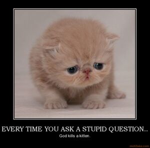 Every-time-you-ask-a-stupid-question-don-t-ask-stupid-question-demotivational-poster.jpg