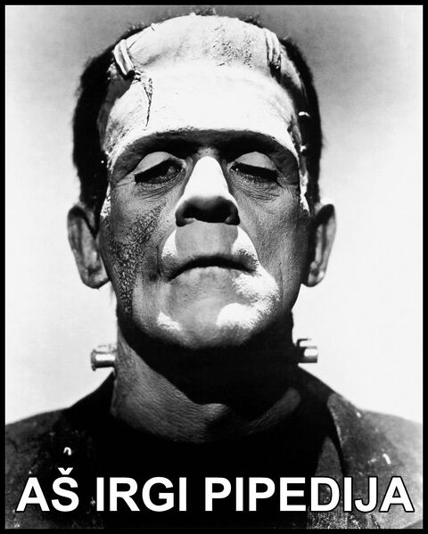 Vaizdas:Frankenstein.jpg
