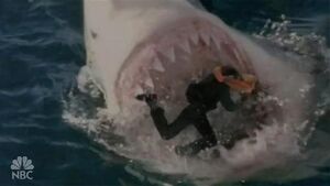 FvOoCgoU8oqb0m6pbtX1ufBxo1 500.jpg