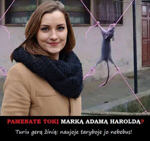 Goda karazijaite markas adamas haroldas.jpg
