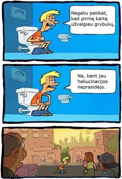 Vaizdas:Grybukai haliucinacijos.jpg