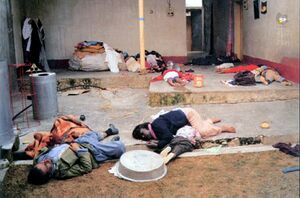 Halabja 1988 zarinas.jpg