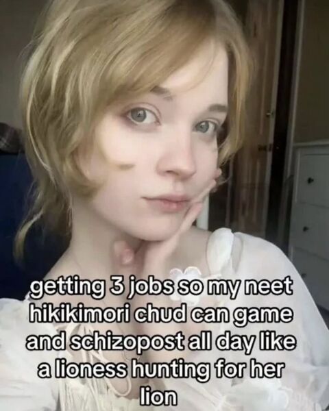 Vaizdas:Hikikomori meme.jpg