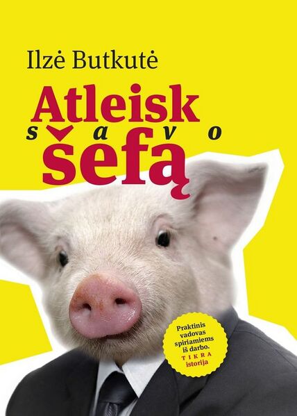 Vaizdas:Ilze butkute atleisk savo sefa.jpg