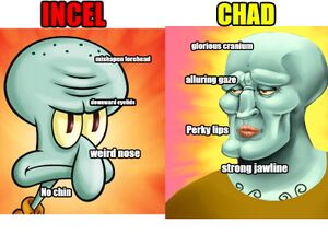 Inecel-vs-chad.jpg