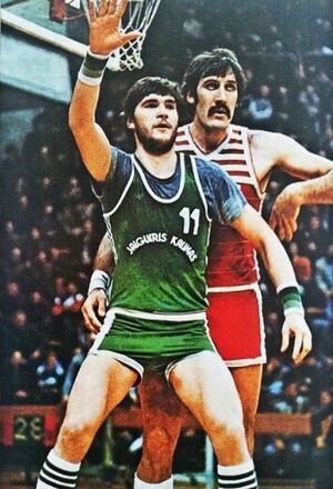 Jalguiris kaunas zalgiris sabonis cask tkacenka.jpg