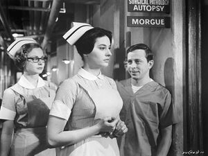 Jaunieji gydytojai.jpg