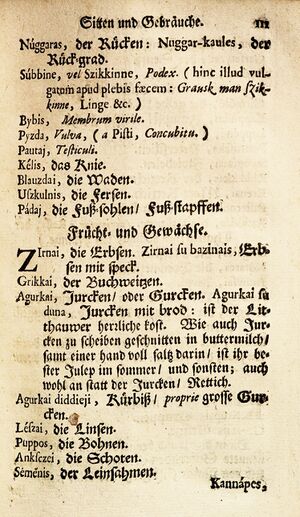 Johan arnhold von brand knyga 1702 lietuviski zodziai puslapis 111.jpeg