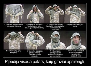 Kaip uzristi semaga.jpg