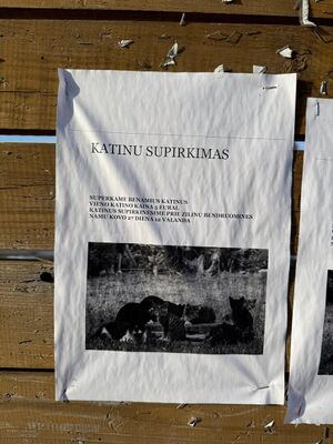 Katinu supirkimas-skelbimas-zilinu-kaimo-skelbimu-lenta.jpg