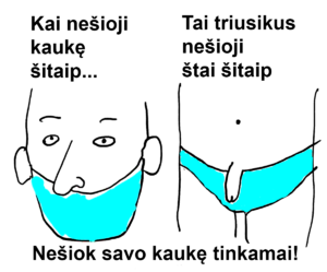 Kaukes ir triusikai bybianosiai.png
