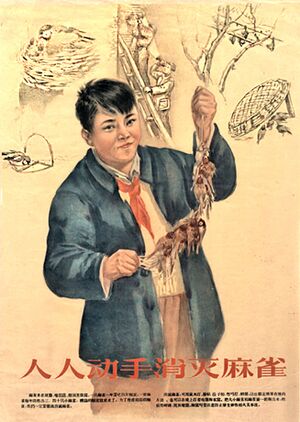 Keturi kenkejai zvirbliai kinija.jpg