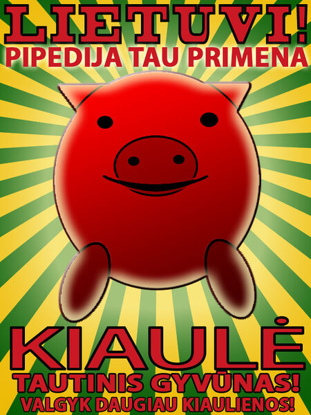 Vaizdas:Kiaule.jpg