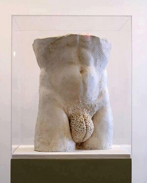 Kiausiniai vyro smegenys.jpg