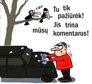Komentarai.jpg