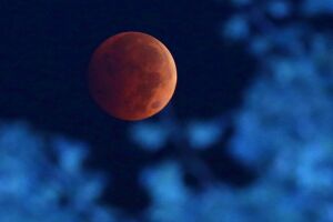 Kruvinas mėnulis.jpg