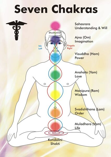Vaizdas:Kundalini-chakra.jpg