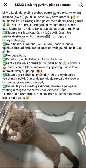 LSMU laukiniu gyvunu globos centras.jpg