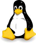 Linux-logo-tux-pingvinas.jpg