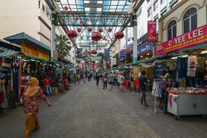 Malaysian chinatown.jpeg