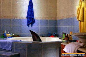 Med bath time.jpg